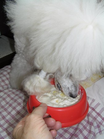 ...ano, to chutná...